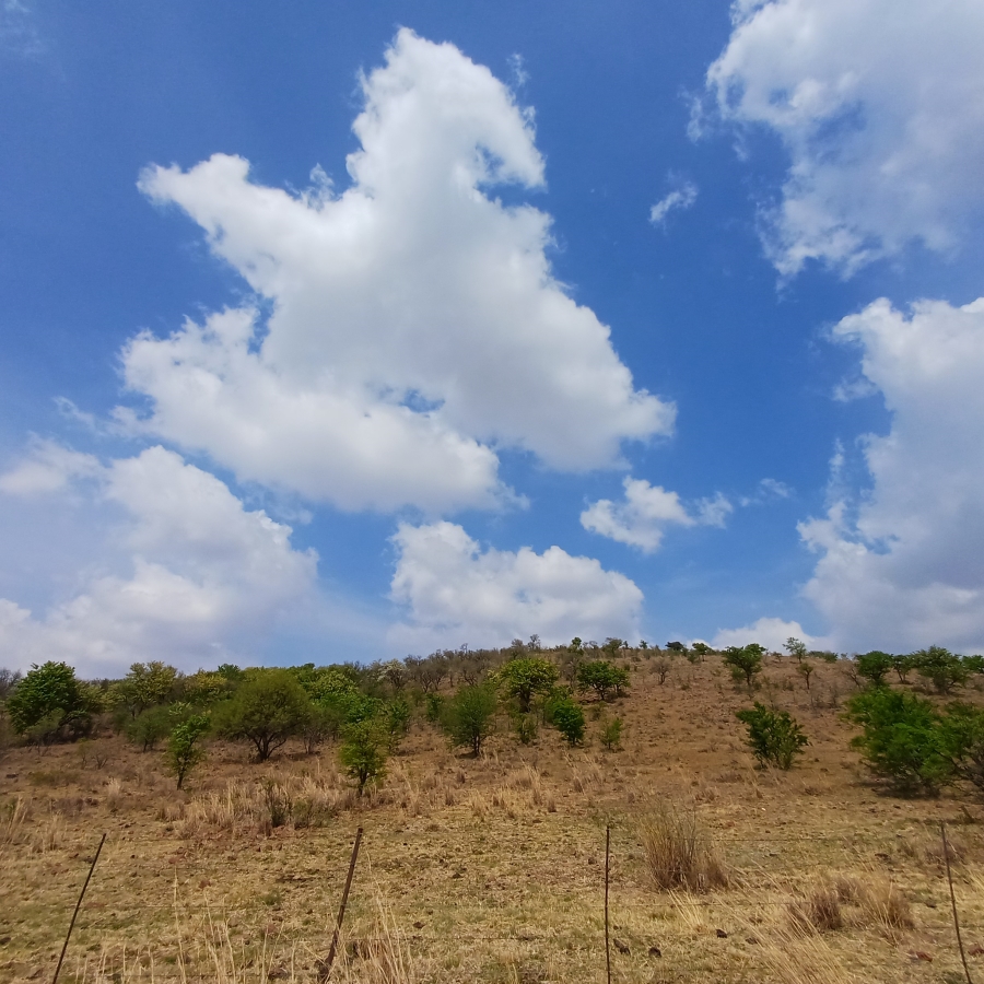 0 Bedroom Property for Sale in Lindequesdrif North West